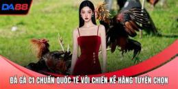 hướng dẫn sử dụng đá gà giải c1