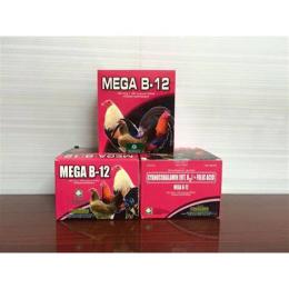 hướng dẫn sử dụng đá gà mega