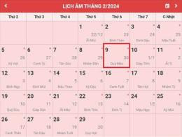 hướng dẫn sử dụng đá gà ngày 29 tháng 2 năm 2024
