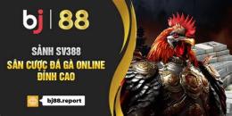 hướng dẫn sử dụng đá gà online 88
