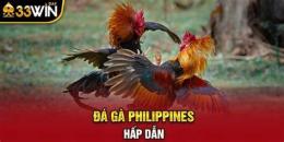 hướng dẫn sử dụng đá gà philippines đá gà philippines