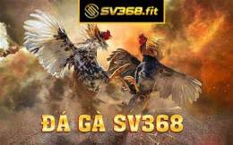 hướng dẫn sử dụng đá gà sv368.info