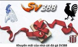 hướng dẫn sử dụng đá gà sv388 tốt nhất việt nam