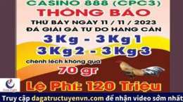 hướng dẫn sử dụng đá gà thomo 19 11