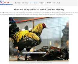hướng dẫn sử dụng đá gà thomo 19/11/2022
