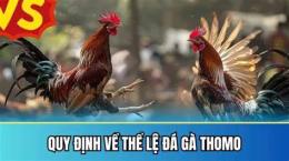 hướng dẫn sử dụng da ga thomo 22/8