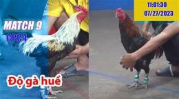 hướng dẫn sử dụng đá gà thomo 23 7 2023 cpc4