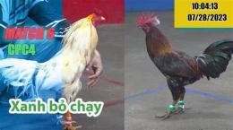 hướng dẫn sử dụng đá gà thomo 28/7/2024