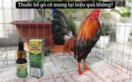 hướng dẫn sử dụng đá gà thomo 31/3