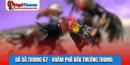 hướng dẫn sử dụng da ga thomo 67.net