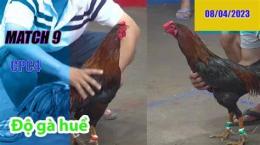 hướng dẫn sử dụng đá gà thomo 9 tháng 5