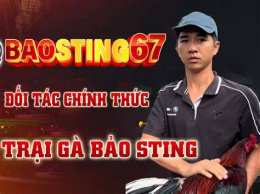 hướng dẫn sử dụng đá gà thomo bao sting