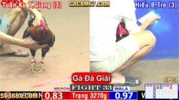 hướng dẫn sử dụng đa ga thomo binh luan