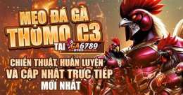 hướng dẫn sử dụng đá gà thomo c3 trận 21 hôm nay
