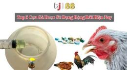hướng dẫn sử dụng đá gà thomo cpc3 4 8