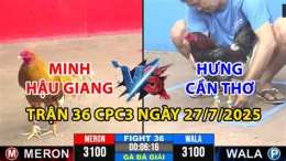 hướng dẫn sử dụng đá gà thomo cpc3 trận 36