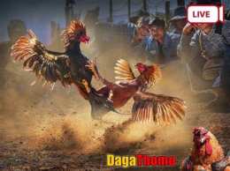 hướng dẫn sử dụng đá gà thomo của vnpt