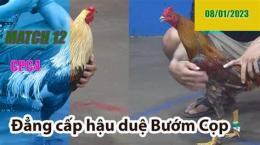 hướng dẫn sử dụng đá gà thomo ngày 12 tháng 12 năm 2023