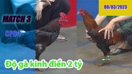 hướng dẫn sử dụng đá gà thomo ngày 14 tháng 8 trận số 3