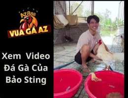hướng dẫn sử dụng đá gà thomo vua gà az