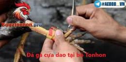 hướng dẫn sử dụng đá gà tonhon 12/9