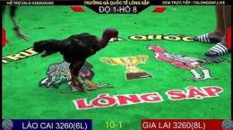 hướng dẫn sử dụng đá gà trận 16 c2