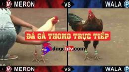hướng dẫn sử dụng da ga truc tiep c3 27/5