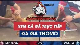 hướng dẫn sử dụng da ga truc tiep c3 9 11