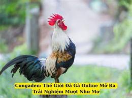 hướng dẫn sử dụng da ga trực tiếp congaden