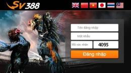 hướng dẫn sử dụng đá gà trực tiếp ở 88