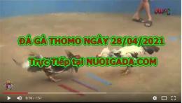hướng dẫn sử dụng đá gà trực tiếp sao bông 67