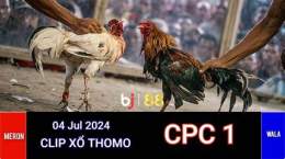 hướng dẫn sử dụng đá gà trực tiếp thomo cpc1