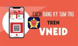 hướng dẫn sử dụng dang ky trang da ga truc tiep