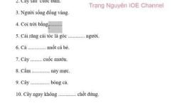 hướng dẫn sử dụng đặt câu với thành ngữ chó ăn đá gà ăn sỏi
