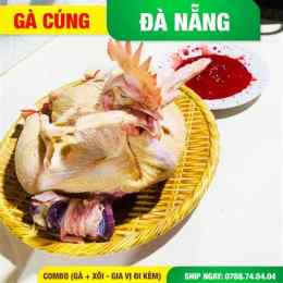hướng dẫn sử dụng đặt gà cúng đà nẵng