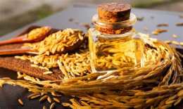 hướng dẫn sử dụng dầu gạo rice bran oil