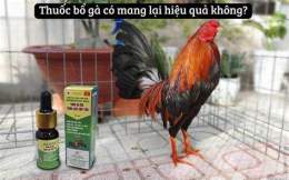hướng dẫn sử dụng gà bảo xì tin đá thomo