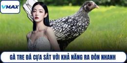 hướng dẫn sử dụng ga ben tre da cua sat