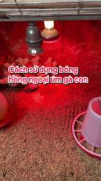 hướng dẫn sử dụng ga bong da