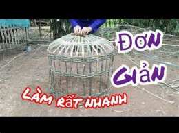 hướng dẫn sử dụng gà chọi đá gà tre
