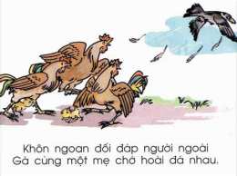 hướng dẫn sử dụng gà cùng 1 mẹ chớ hoài đá nhau lyrics