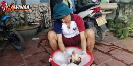 hướng dẫn sử dụng ga da cua sat moi nhat 2015