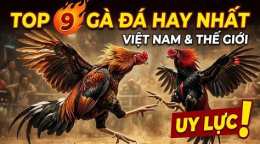 hướng dẫn sử dụng ga da hay nhat the gioi