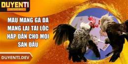 hướng dẫn sử dụng gà đá mang tai
