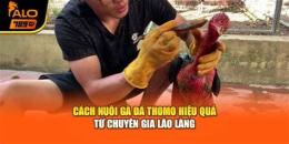 hướng dẫn sử dụng ga da thomo 17/5/2018