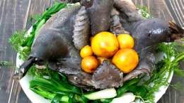 hướng dẫn sử dụng gà đen là đá gì