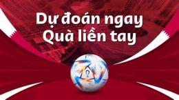 hướng dẫn sử dụng gà dự đoán bóng đá