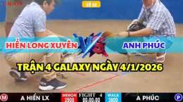 hướng dẫn sử dụng gà hiển long xuyên đá thomo