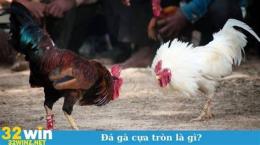 hướng dẫn sử dụng ga my da cua sat tron