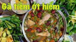 hướng dẫn sử dụng gà tiềm ớt hiểm đà lạt